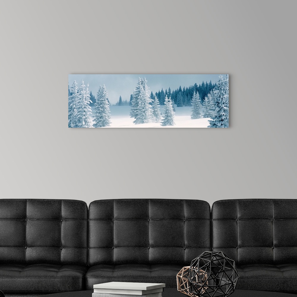 A modern room featuring Panoramic photograph displays a Winter landscape of trees that have been covered in a blanket of ...