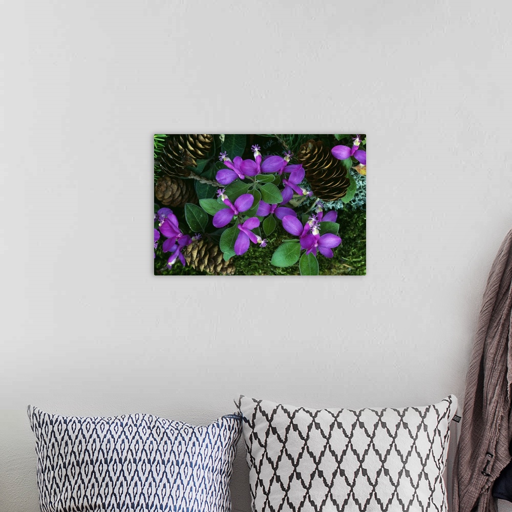 A bohemian room featuring Big image print of the up close view of flower blooms with pine cones sitting nearby that had fal...