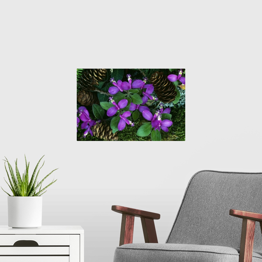 A modern room featuring Big image print of the up close view of flower blooms with pine cones sitting nearby that had fal...