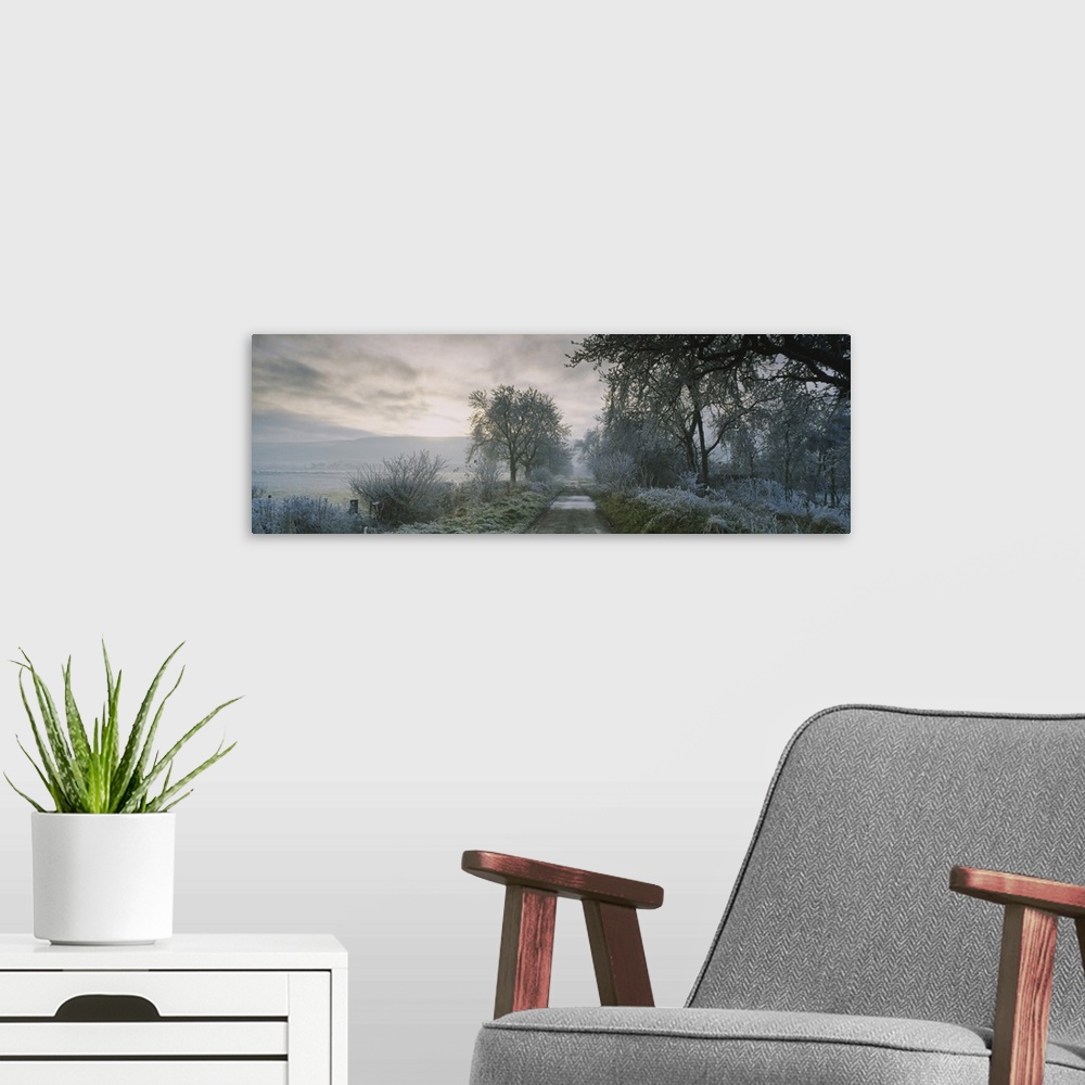 A modern room featuring Horizontal photograph on a big canvas of a narrow road running through a wooded area covered in f...