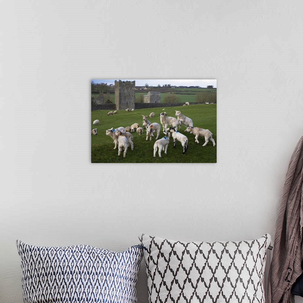 A bohemian room featuring Gambolling Lambs, Kells Monastry, County Kilkenny, Ireland