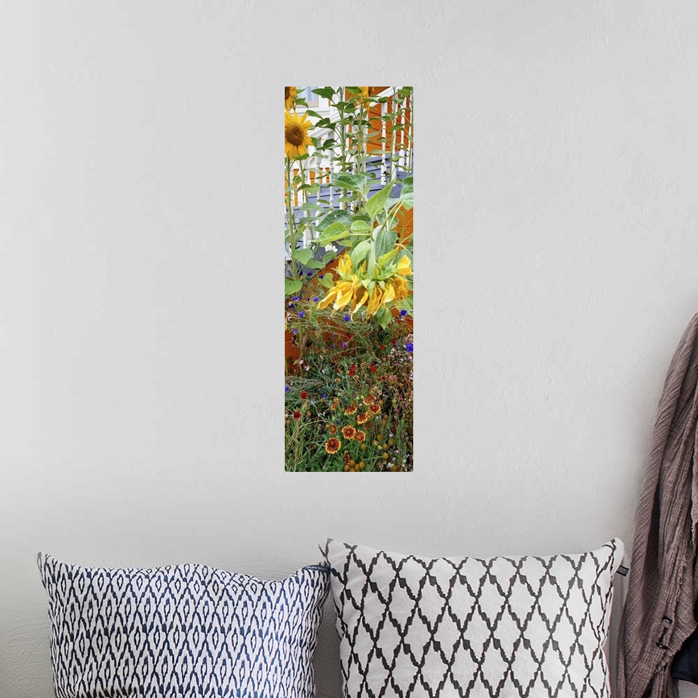 A bohemian room featuring A panorama vertical piece of a sprouting garden that has tall sunflowers growing from it.