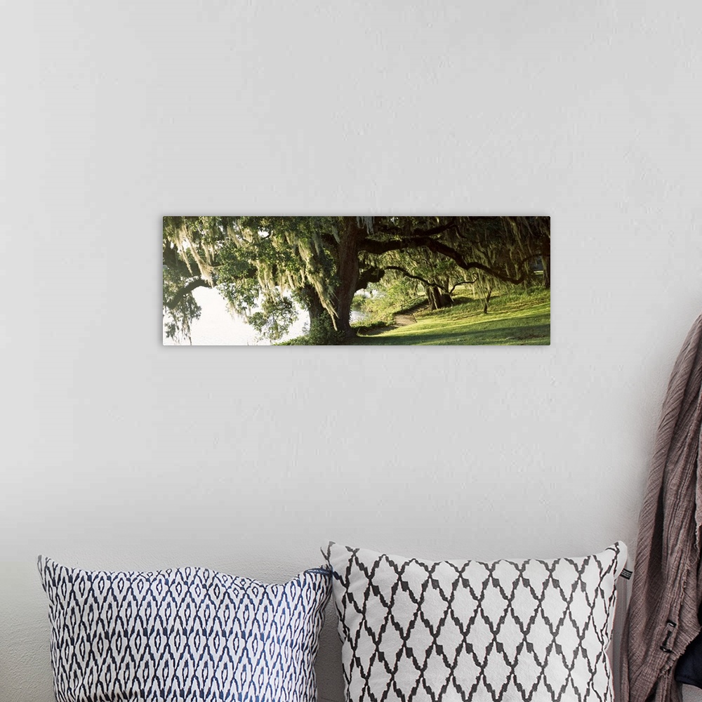 A bohemian room featuring Panoramic photo of a weeping willow tree in a garden along a river.