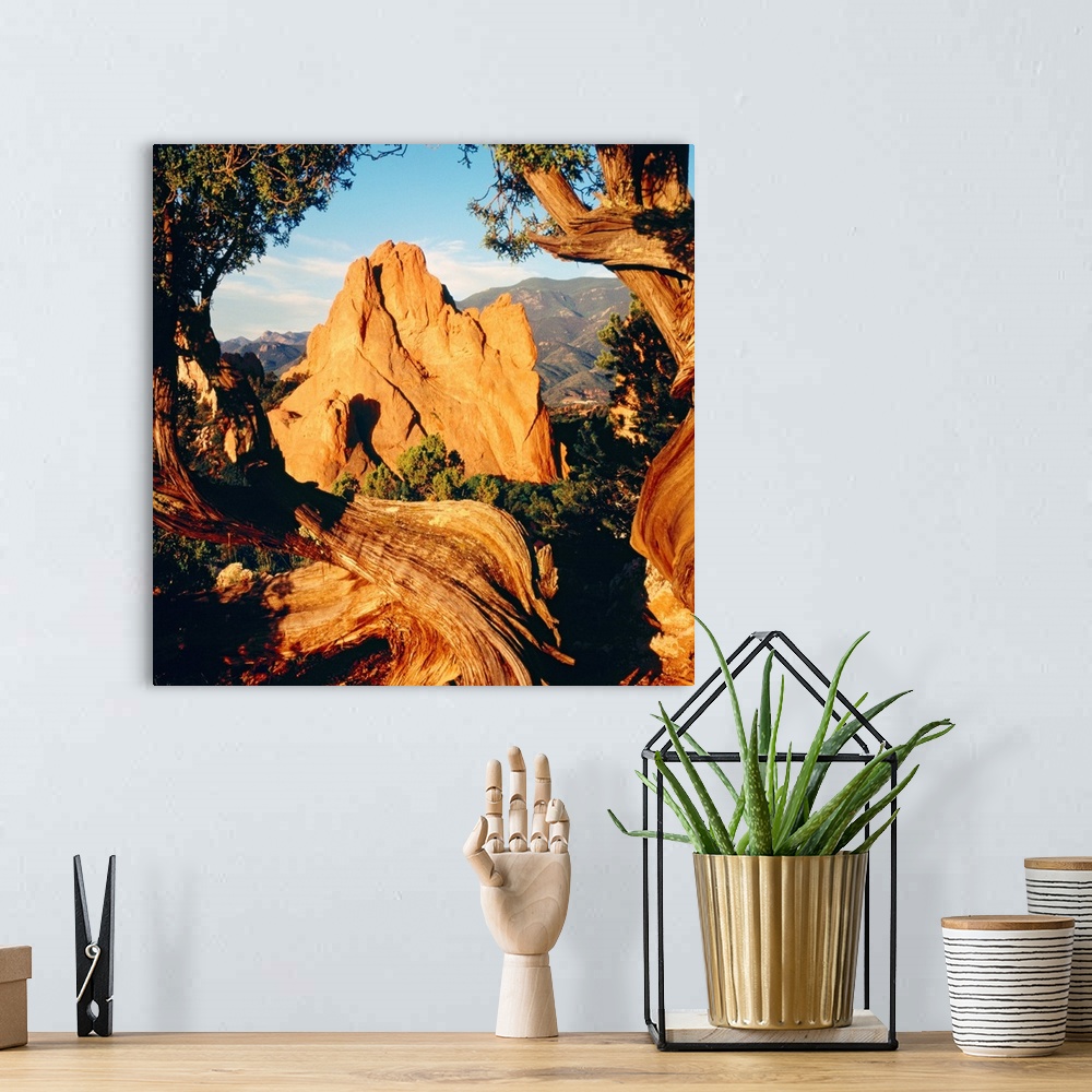 A bohemian room featuring Dry, wind battered trees frame the edges of this landscape photograph of natural rock formations ...