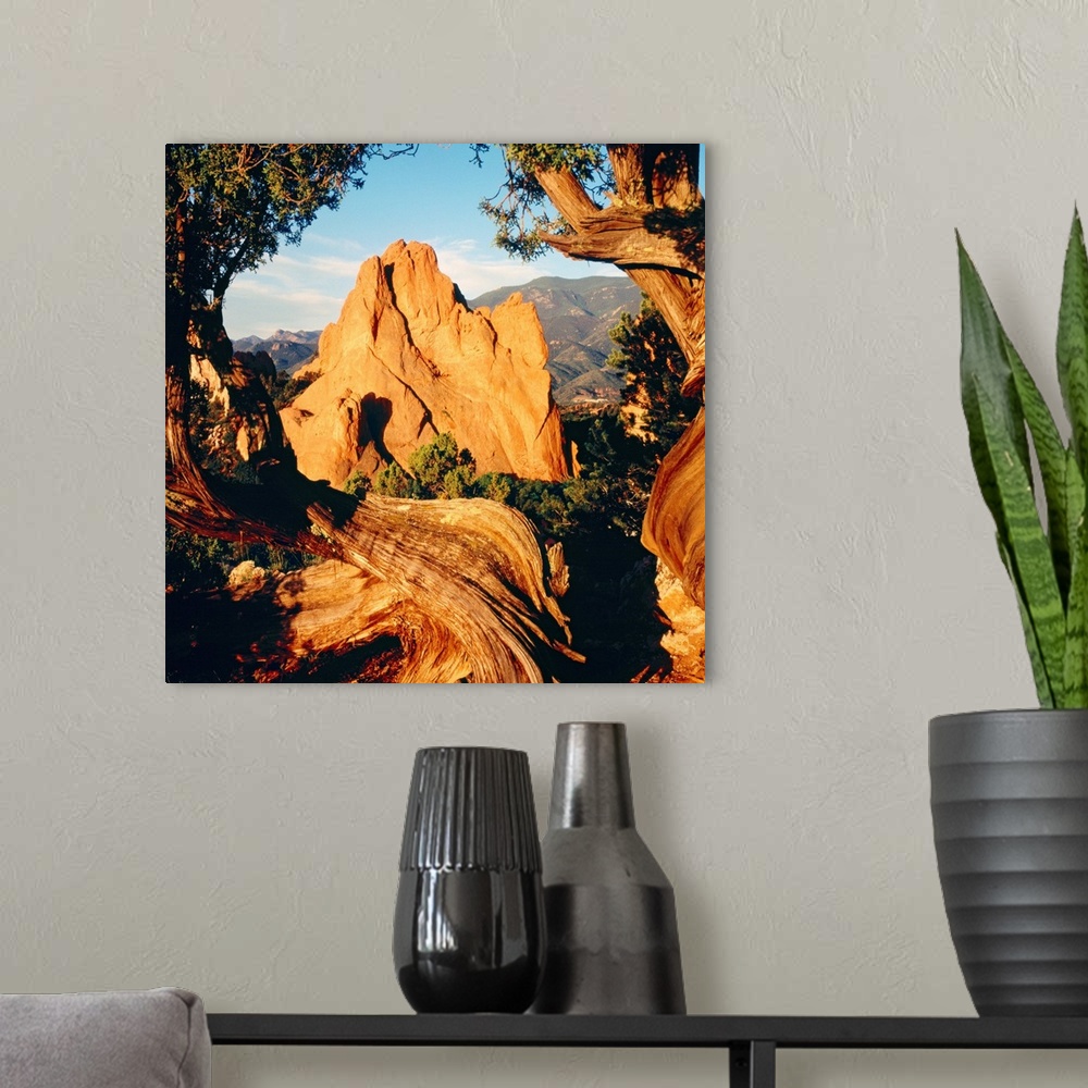 A modern room featuring Dry, wind battered trees frame the edges of this landscape photograph of natural rock formations ...