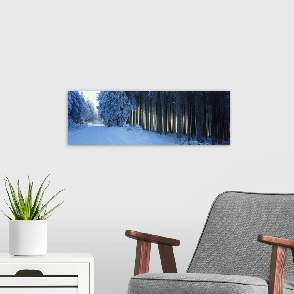 A modern room featuring Germany, Hochwald, road, winter