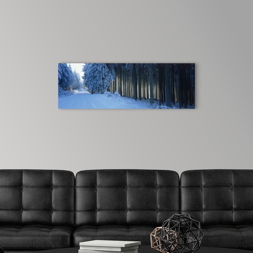 A modern room featuring Germany, Hochwald, road, winter