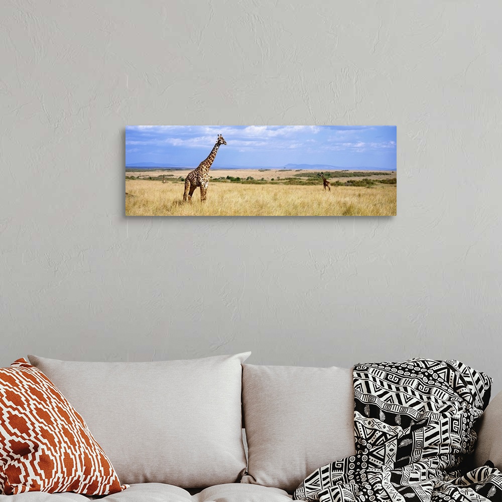 A bohemian room featuring Panoramic photograph of grassy meadow with under a cloudy sky with African animals grazing.