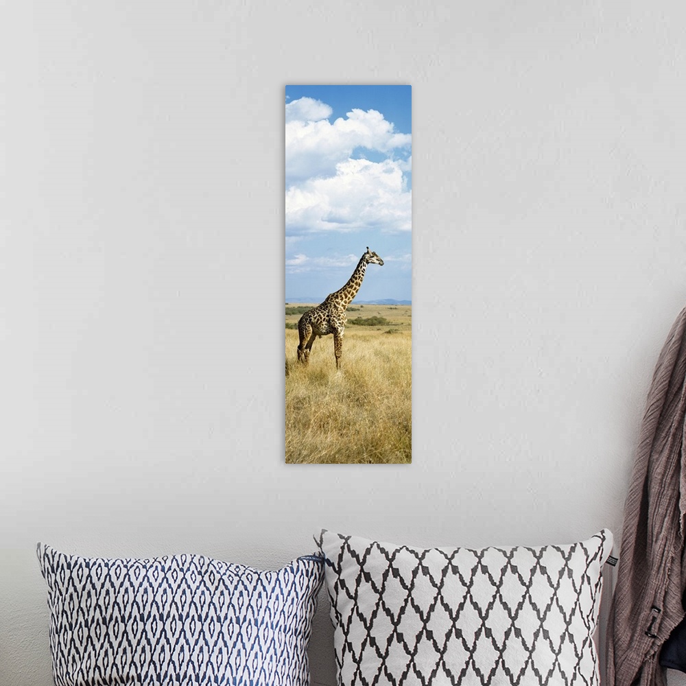 A bohemian room featuring Giraffe Maasai Mara Kenya