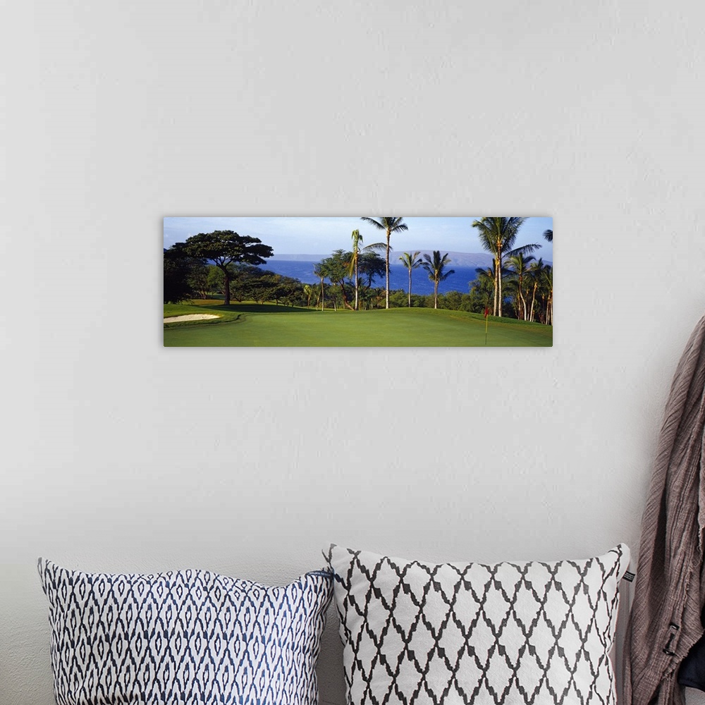A bohemian room featuring Panoramic photograph of fairway with palm trees and ocean in the distance.