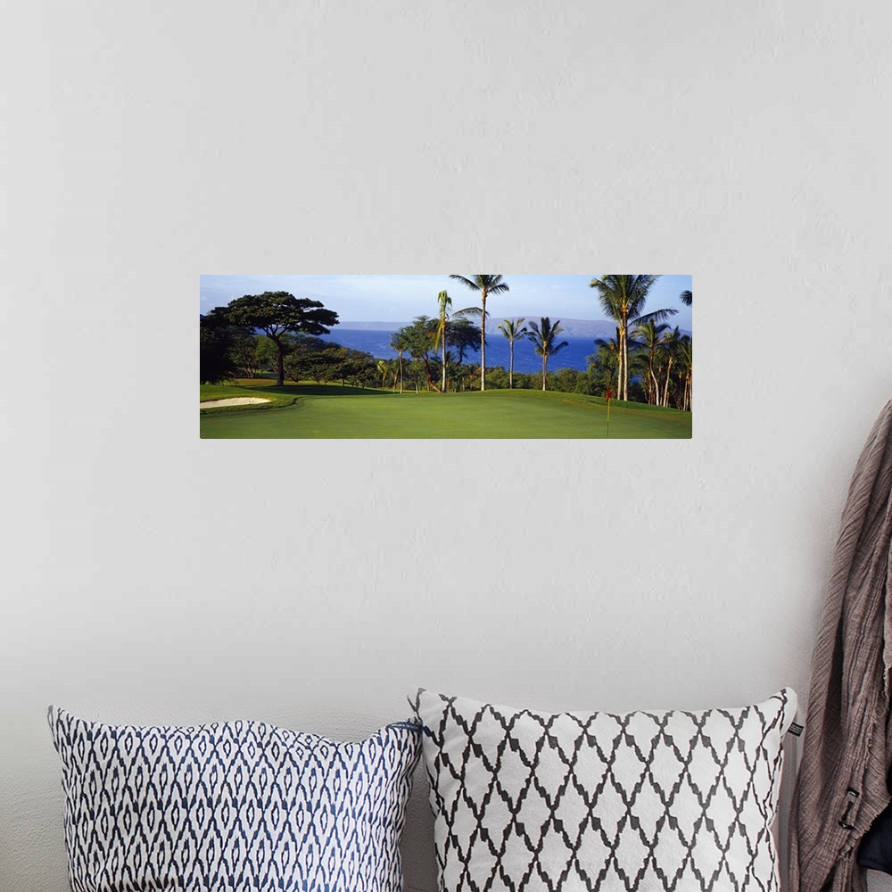 A bohemian room featuring Panoramic photograph of fairway with palm trees and ocean in the distance.