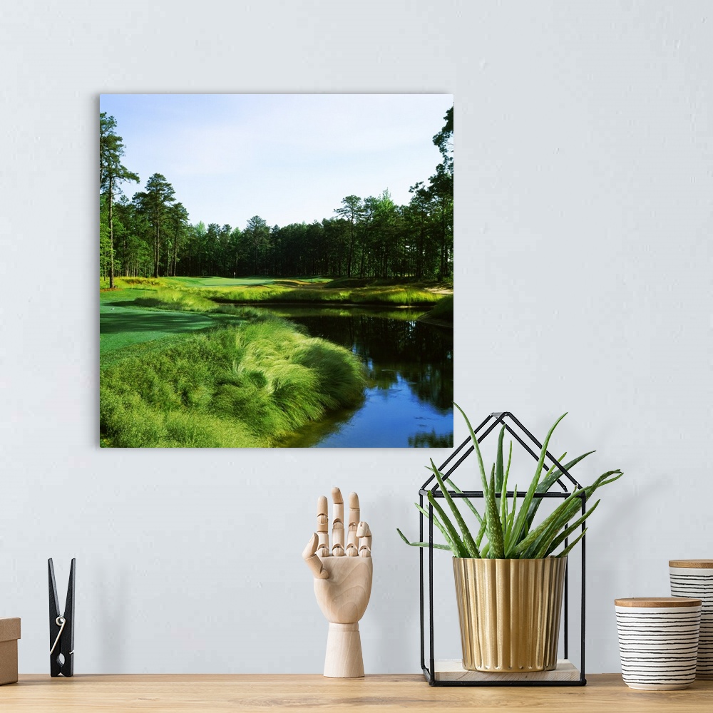 A bohemian room featuring Golf course, Sand Barrens Golf Club, South Course, Cape May, Cape May County, New Jersey