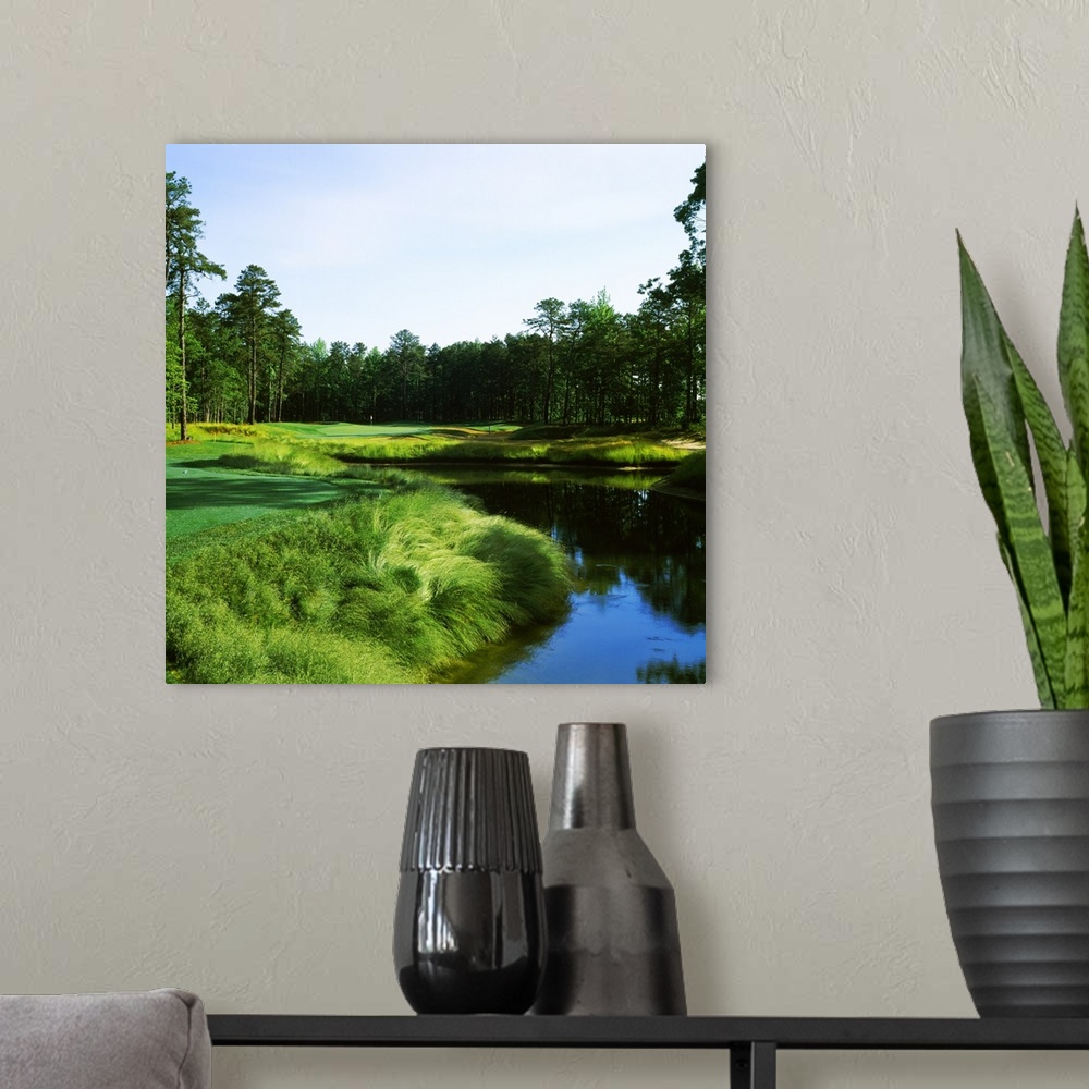 A modern room featuring Golf course, Sand Barrens Golf Club, South Course, Cape May, Cape May County, New Jersey