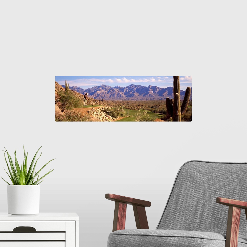 A modern room featuring A panoramic shot of a golfer about to tee off on a course in Arizona. Cactuses are shown on eithe...