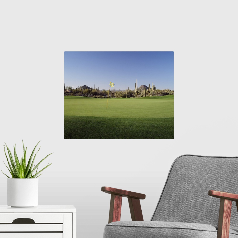 A modern room featuring Golf flag in a golf course, Troon North Golf Club, Scottsdale, Maricopa County, Arizona