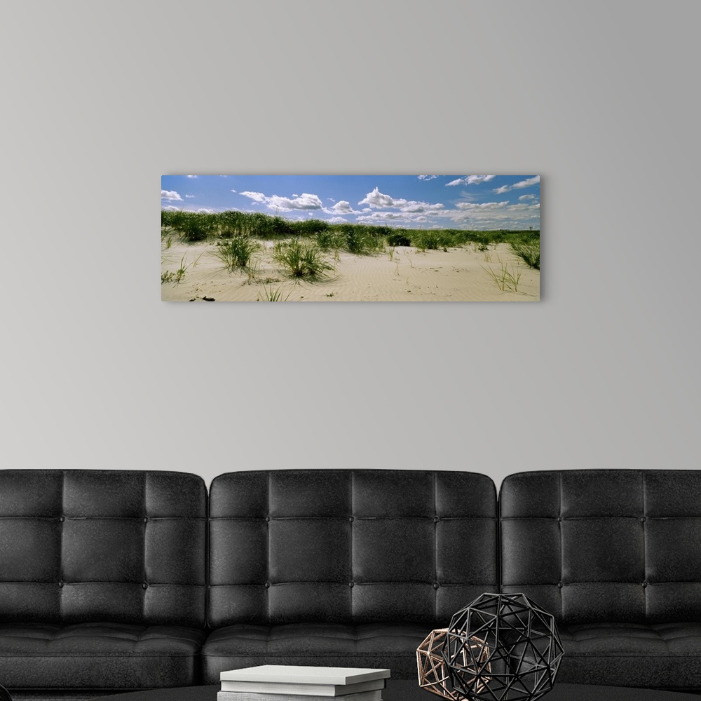 A modern room featuring Grass among the dunes, Crane Beach, Ipswich, Essex County, Massachusetts