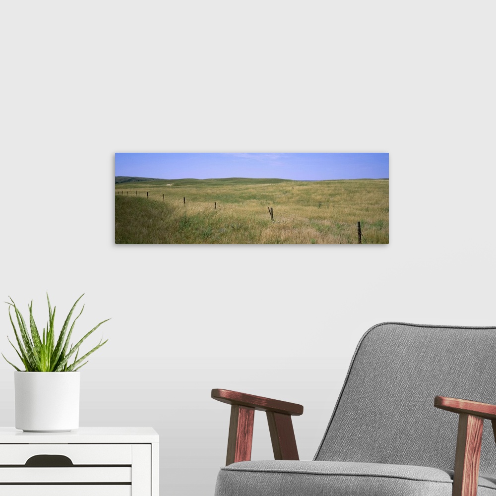 A modern room featuring Grass on a field, Cherry County, Nebraska