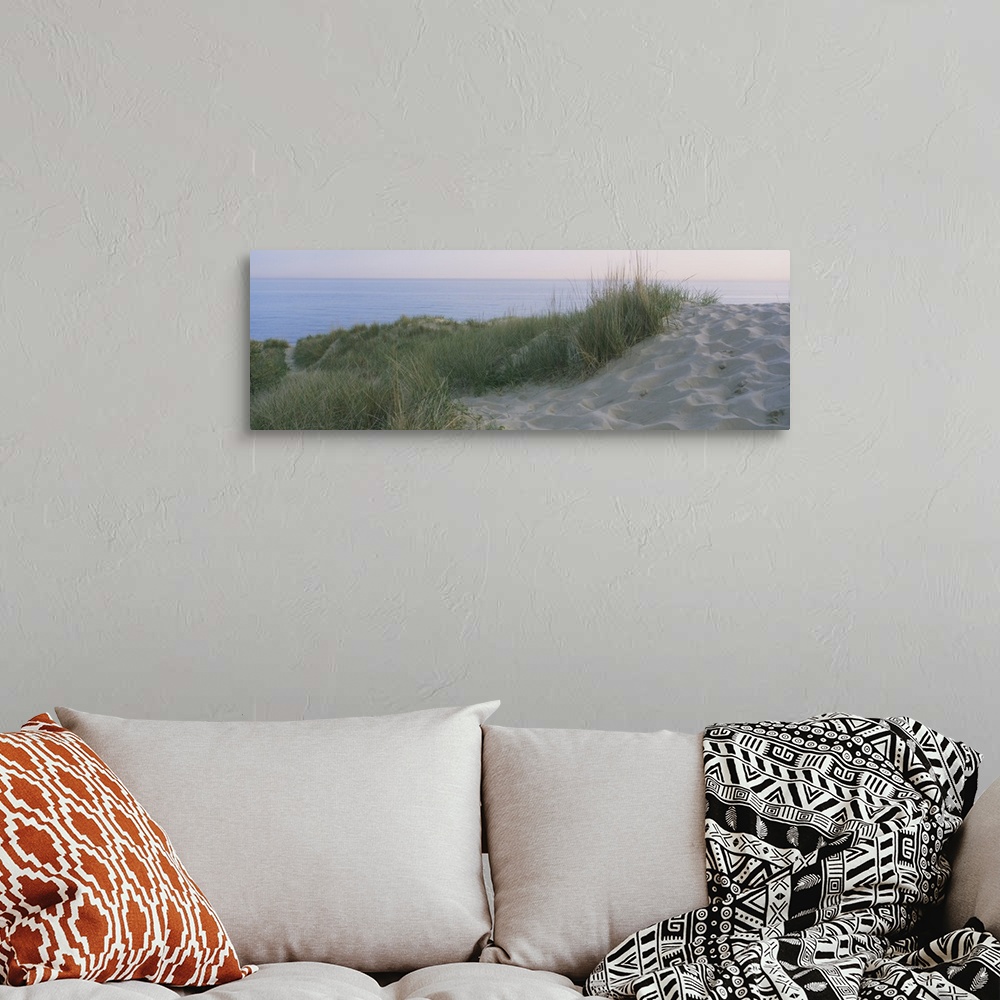 A bohemian room featuring Panoramic photograph of meadow on a sand pile, with the ocean in the background.