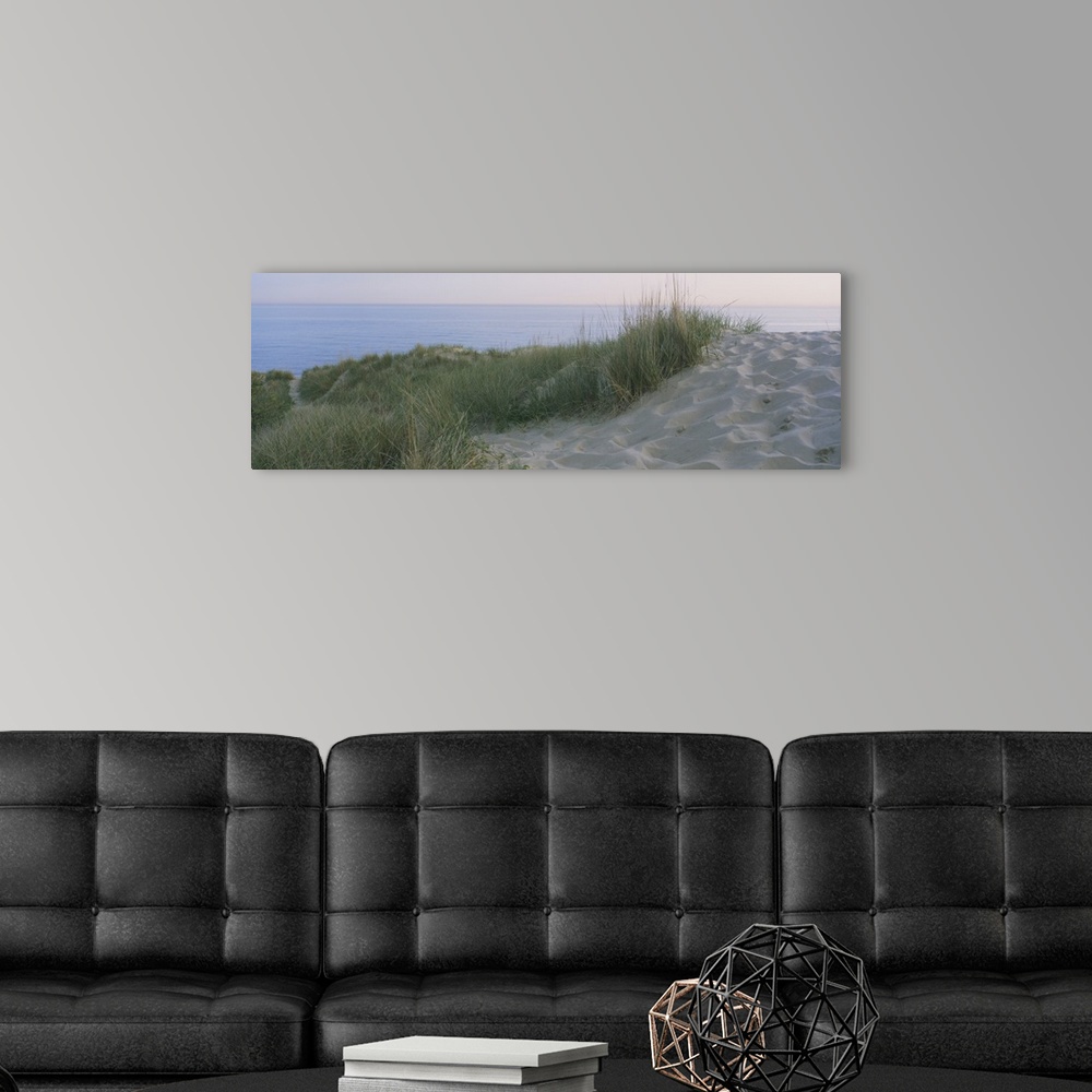 A modern room featuring Panoramic photograph of meadow on a sand pile, with the ocean in the background.
