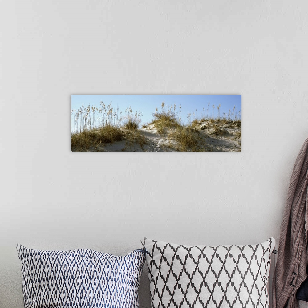 A bohemian room featuring Wide angle photograph taken of grass on sand dunes with the sky pictured above.
