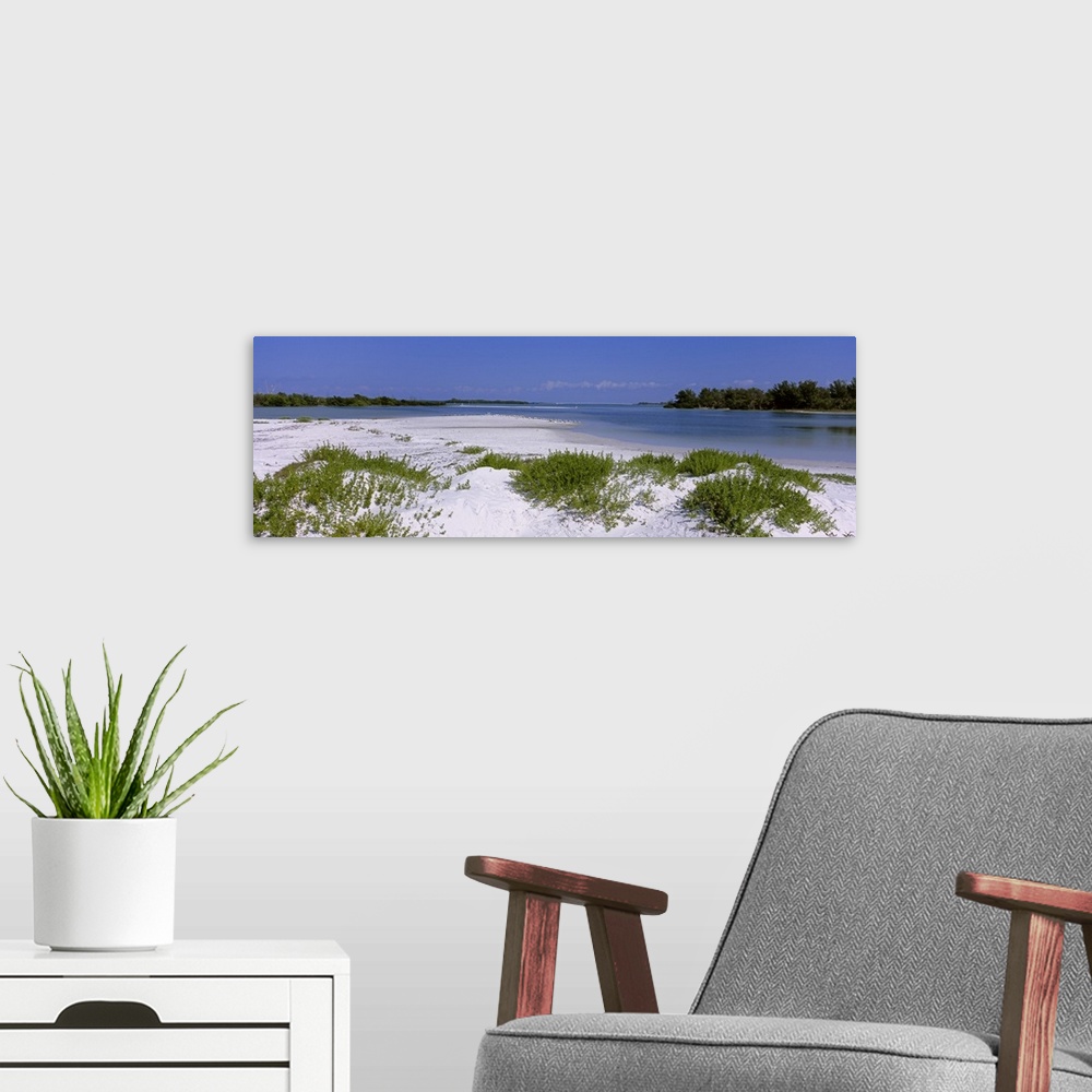 A modern room featuring Grass on the beach, Fort De Soto Park, Tierra Verde, Florida