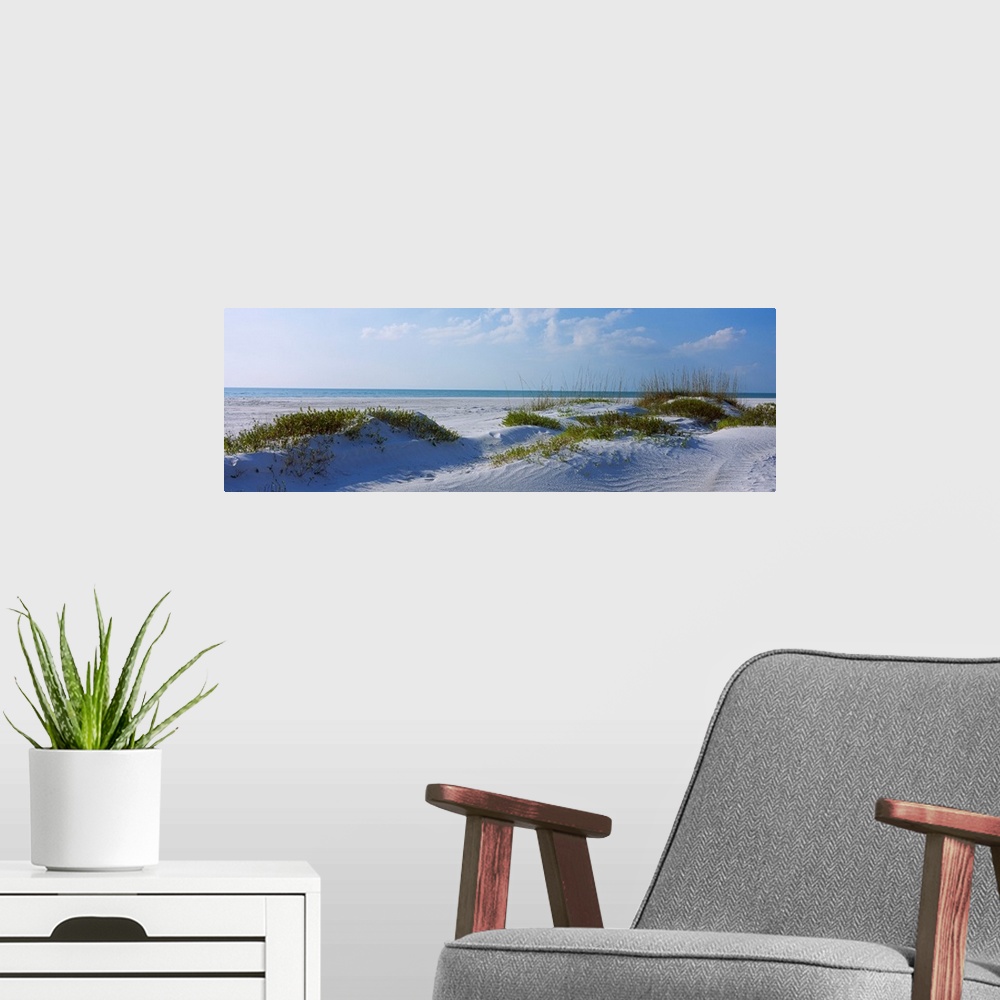 A modern room featuring Panoramic photograph shows a few patches of grass sitting on a sandy coastline within the Southea...