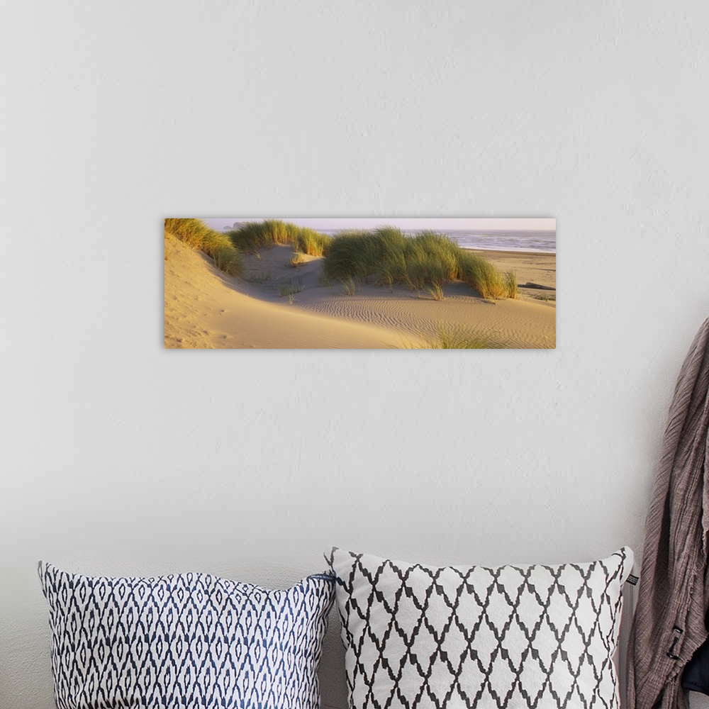 A bohemian room featuring Large panoramic photograph of grass and dunes in the Bandon State Natural Area in Bandon, Oregon....