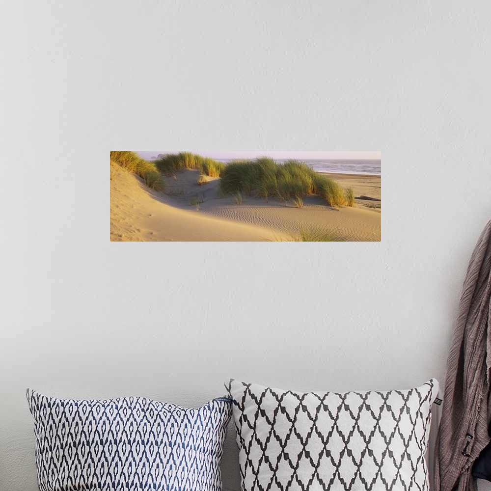 A bohemian room featuring Large panoramic photograph of grass and dunes in the Bandon State Natural Area in Bandon, Oregon....