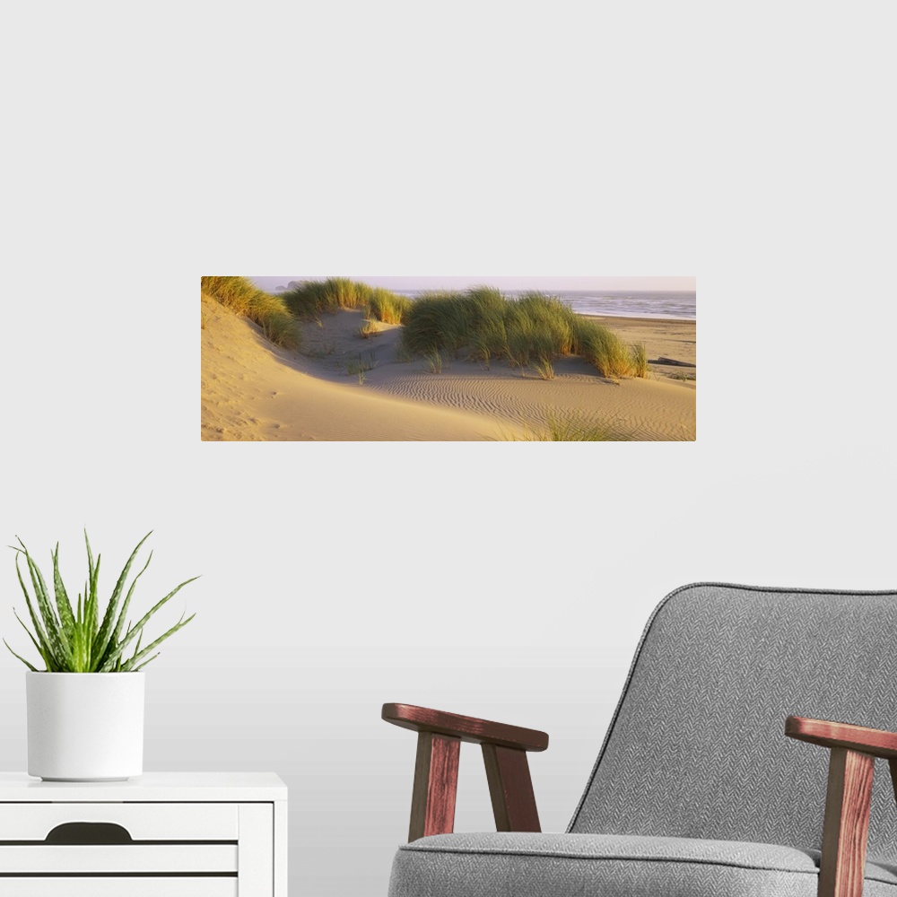 A modern room featuring Large panoramic photograph of grass and dunes in the Bandon State Natural Area in Bandon, Oregon....