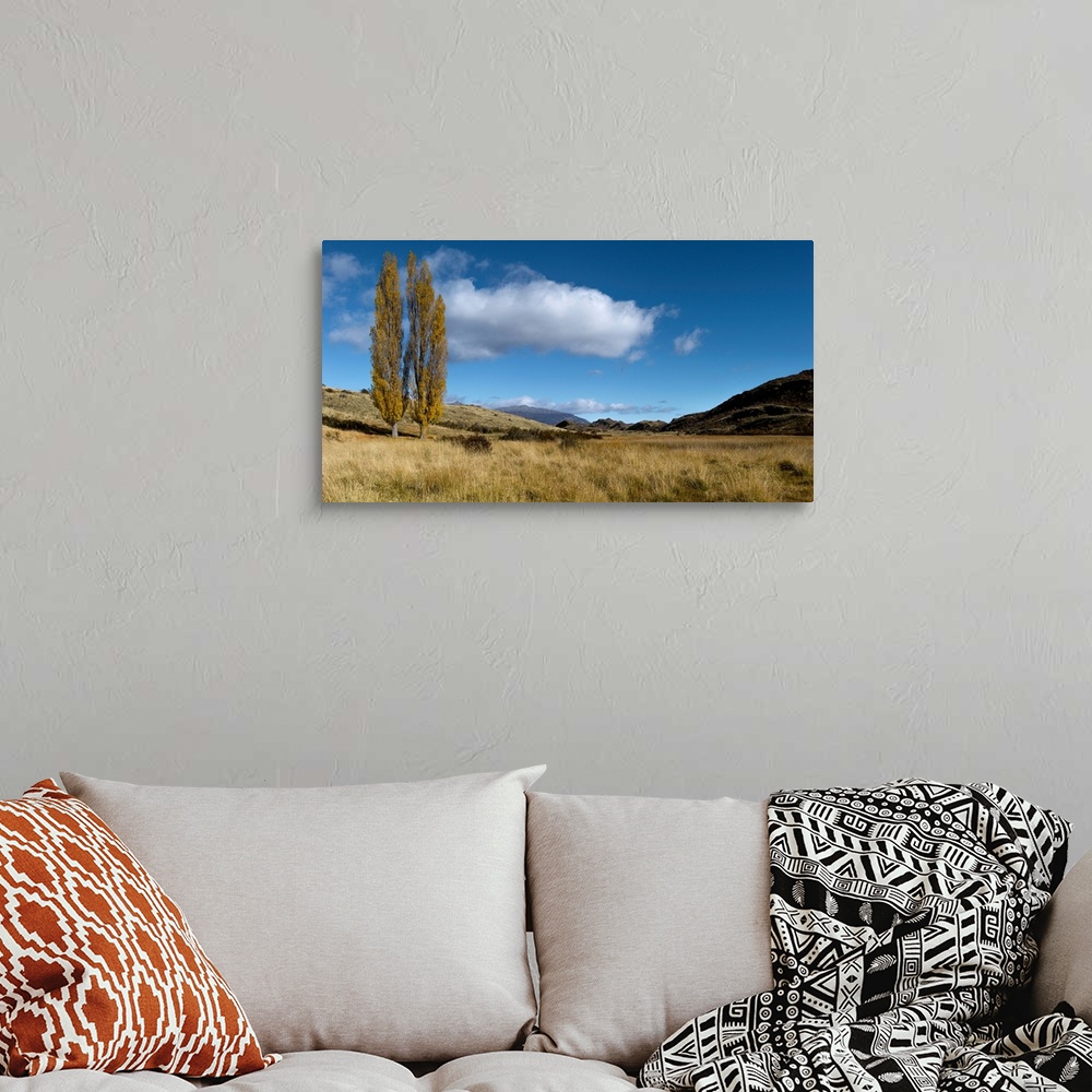 A bohemian room featuring Grassland, Valle Chacabuco, Patagonia National Park, Patagonia, Chile