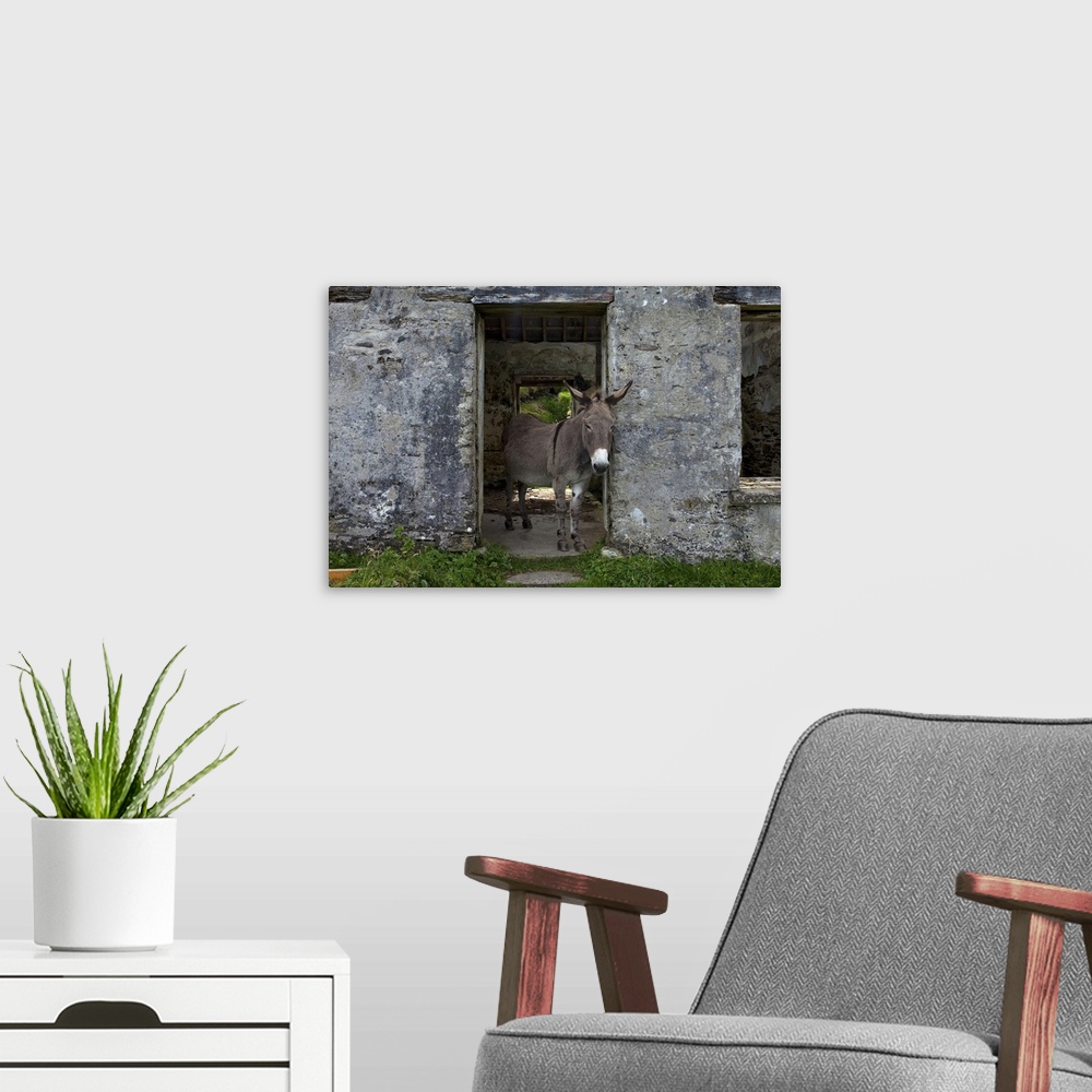 A modern room featuring Great Blasket Island, County Kerry, Ireland