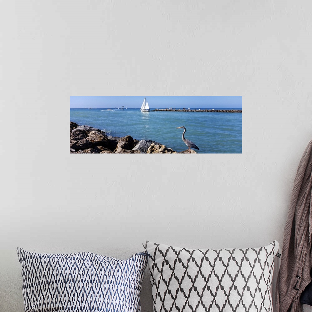 A bohemian room featuring Panoramic photo on canvas of a sailboat sailing out to sea and a big bird standing on a jetty.