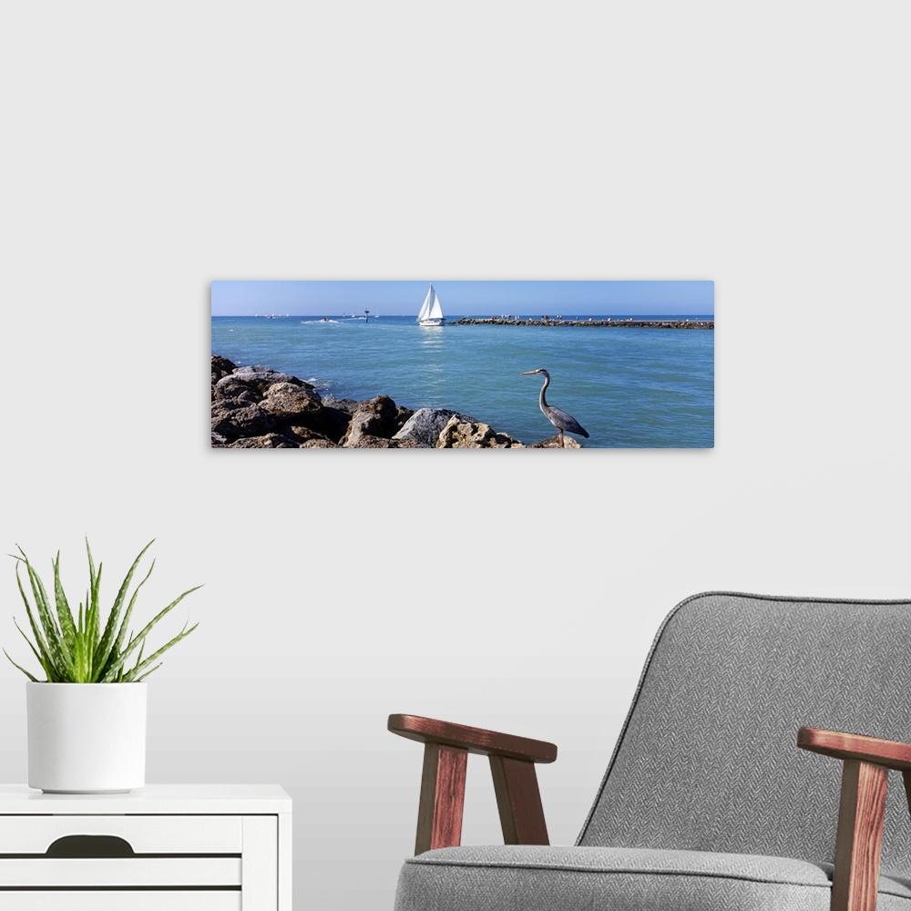 A modern room featuring Panoramic photo on canvas of a sailboat sailing out to sea and a big bird standing on a jetty.