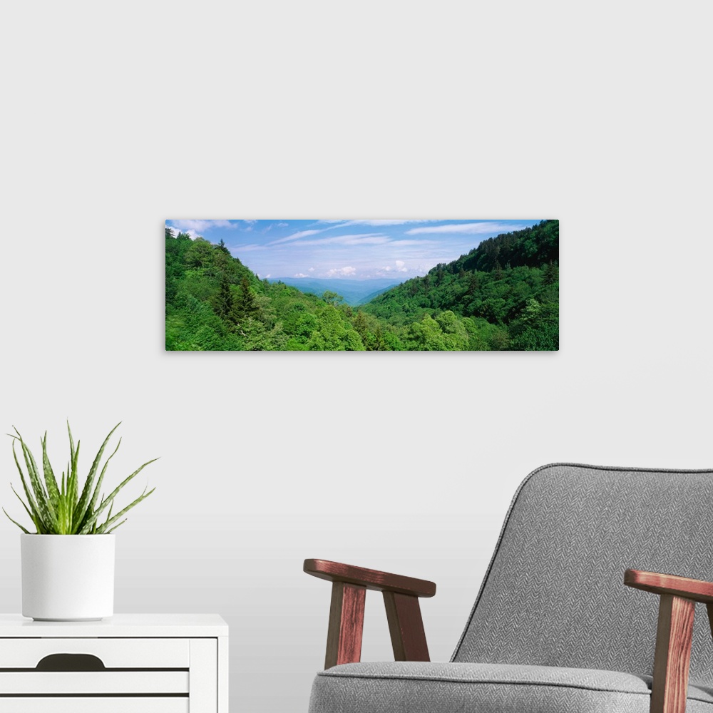 A modern room featuring Great Smoky Mountains National Park TN