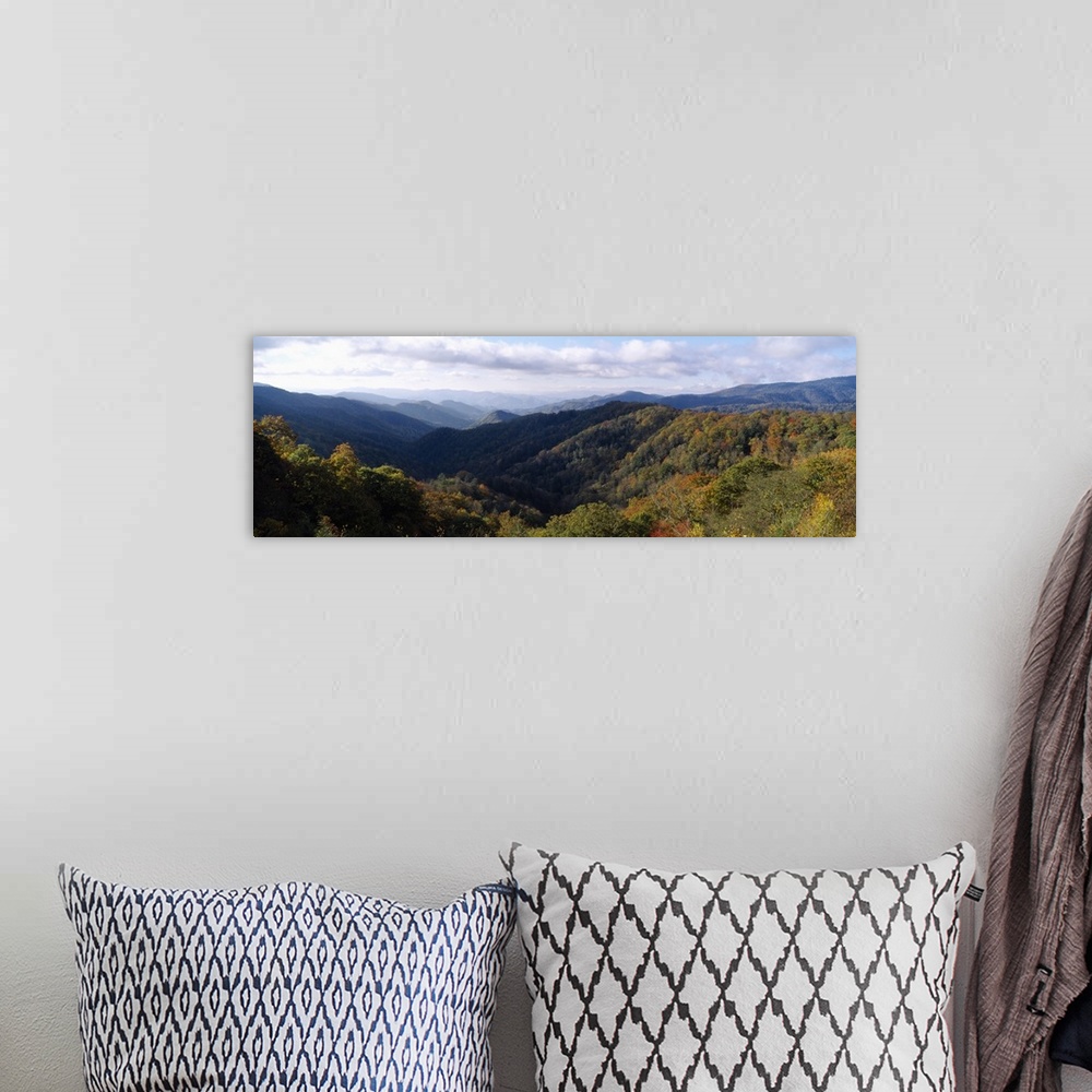 A bohemian room featuring Panoramic, high angle photograph of tree tops covering the Great Smoky Mountains National Park in...