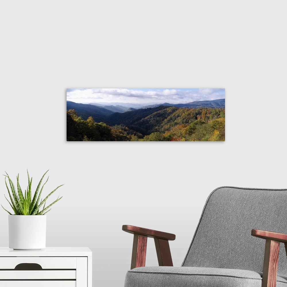 A modern room featuring Panoramic, high angle photograph of tree tops covering the Great Smoky Mountains National Park in...
