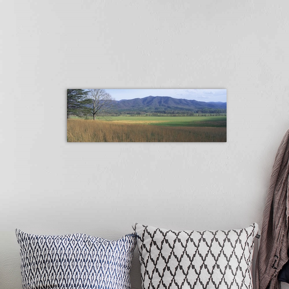 A bohemian room featuring Panoramic photograph of open meadow with mountains in the distance under a clear sky.