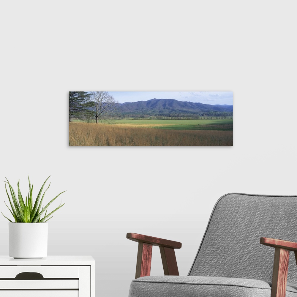 A modern room featuring Panoramic photograph of open meadow with mountains in the distance under a clear sky.