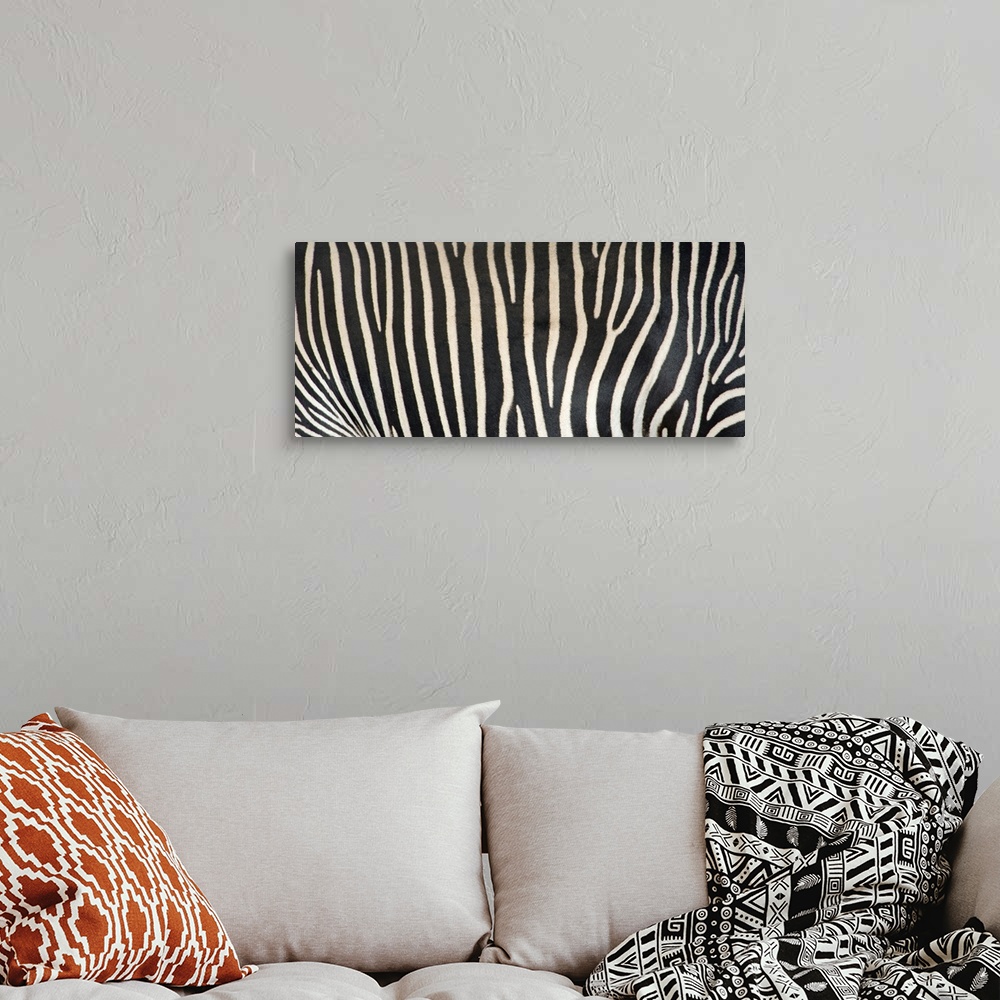A bohemian room featuring Upclose photograph of the stripes on a zebra.