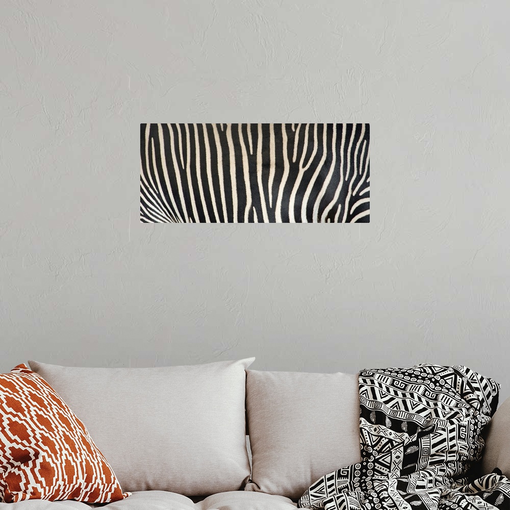 A bohemian room featuring Upclose photograph of the stripes on a zebra.