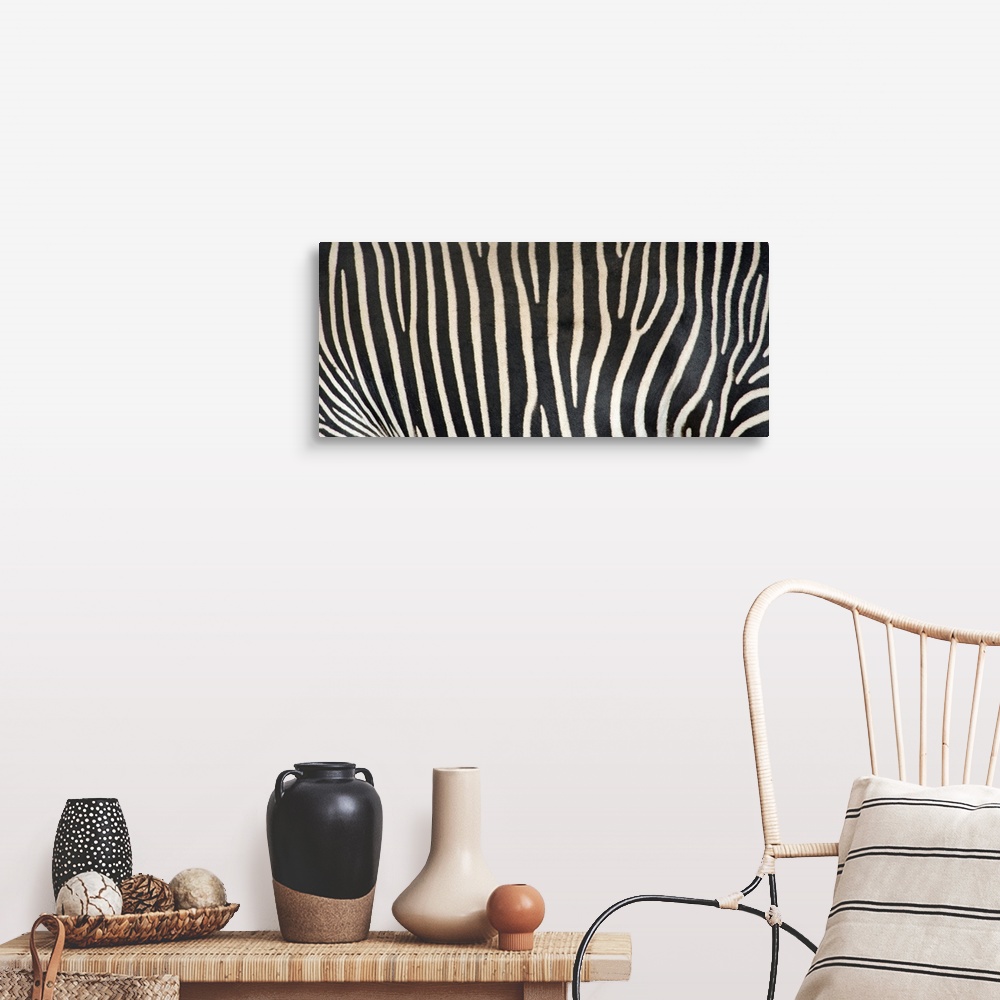 A farmhouse room featuring Upclose photograph of the stripes on a zebra.