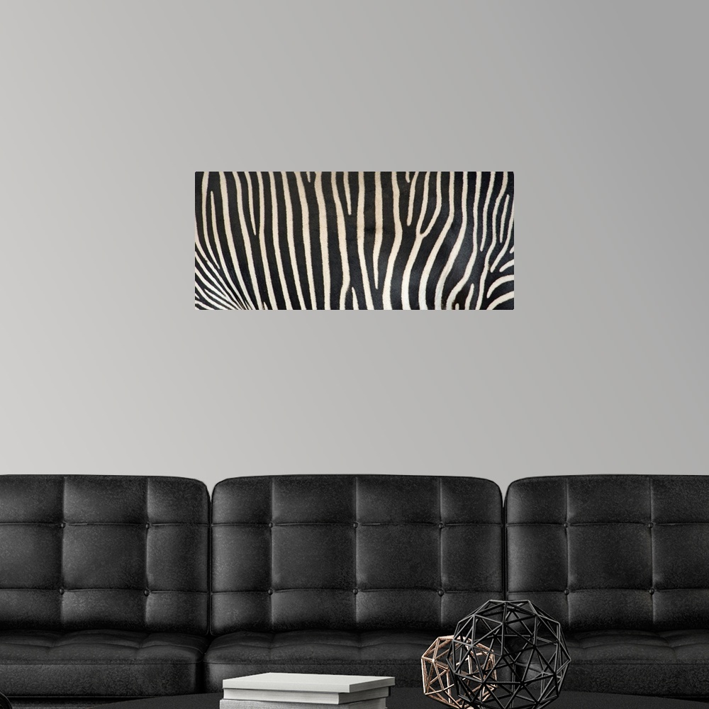 A modern room featuring Upclose photograph of the stripes on a zebra.