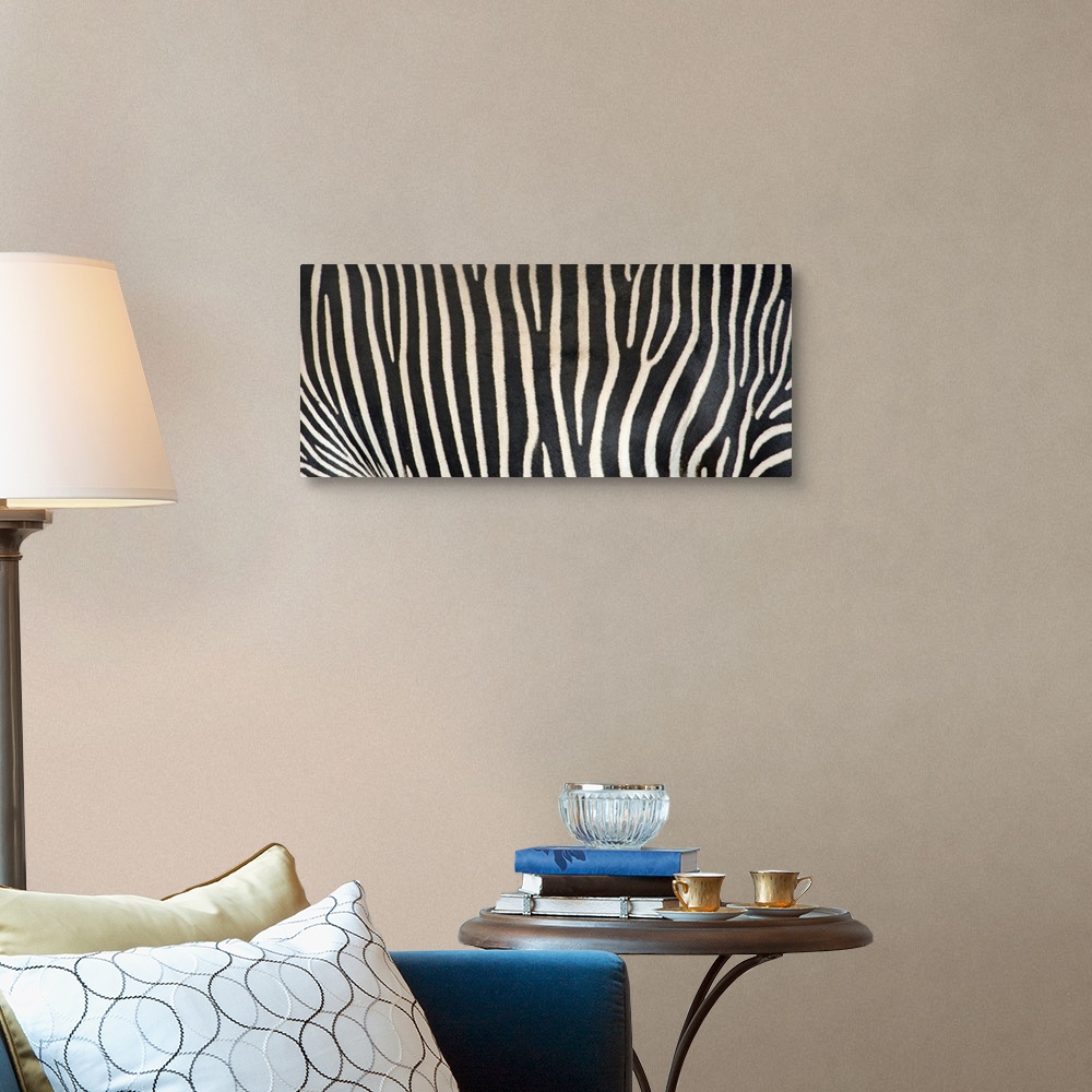 A traditional room featuring Upclose photograph of the stripes on a zebra.