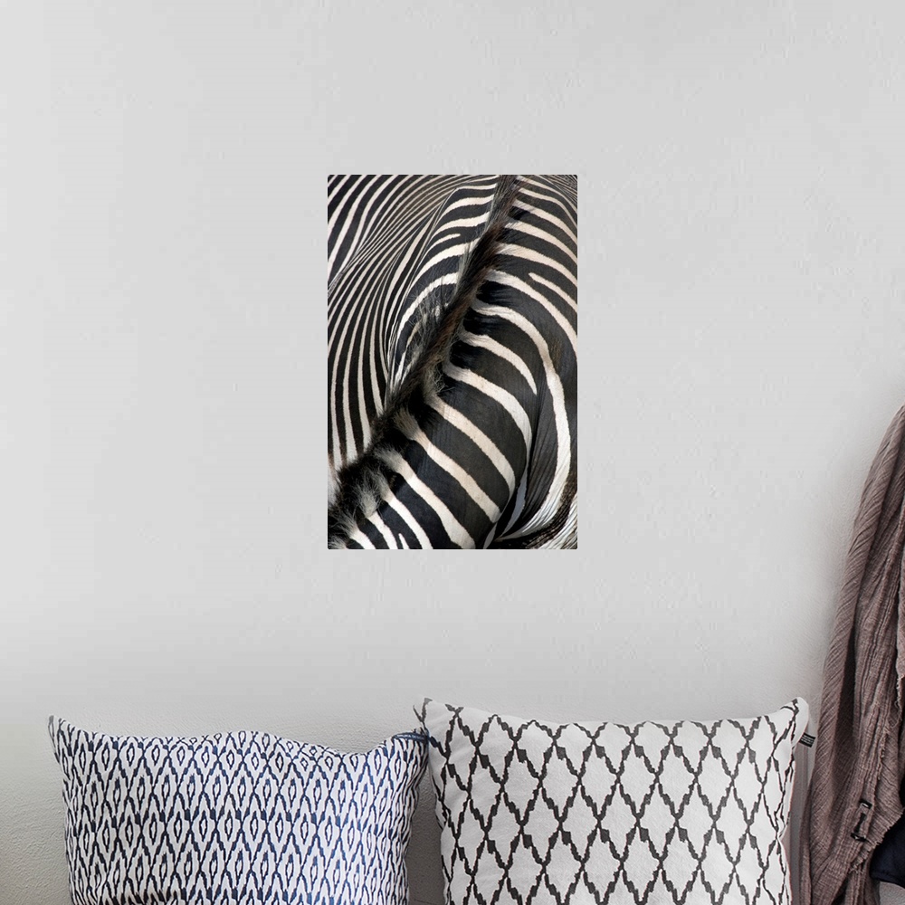 A bohemian room featuring Grevey's Zebra Stripes and Mane