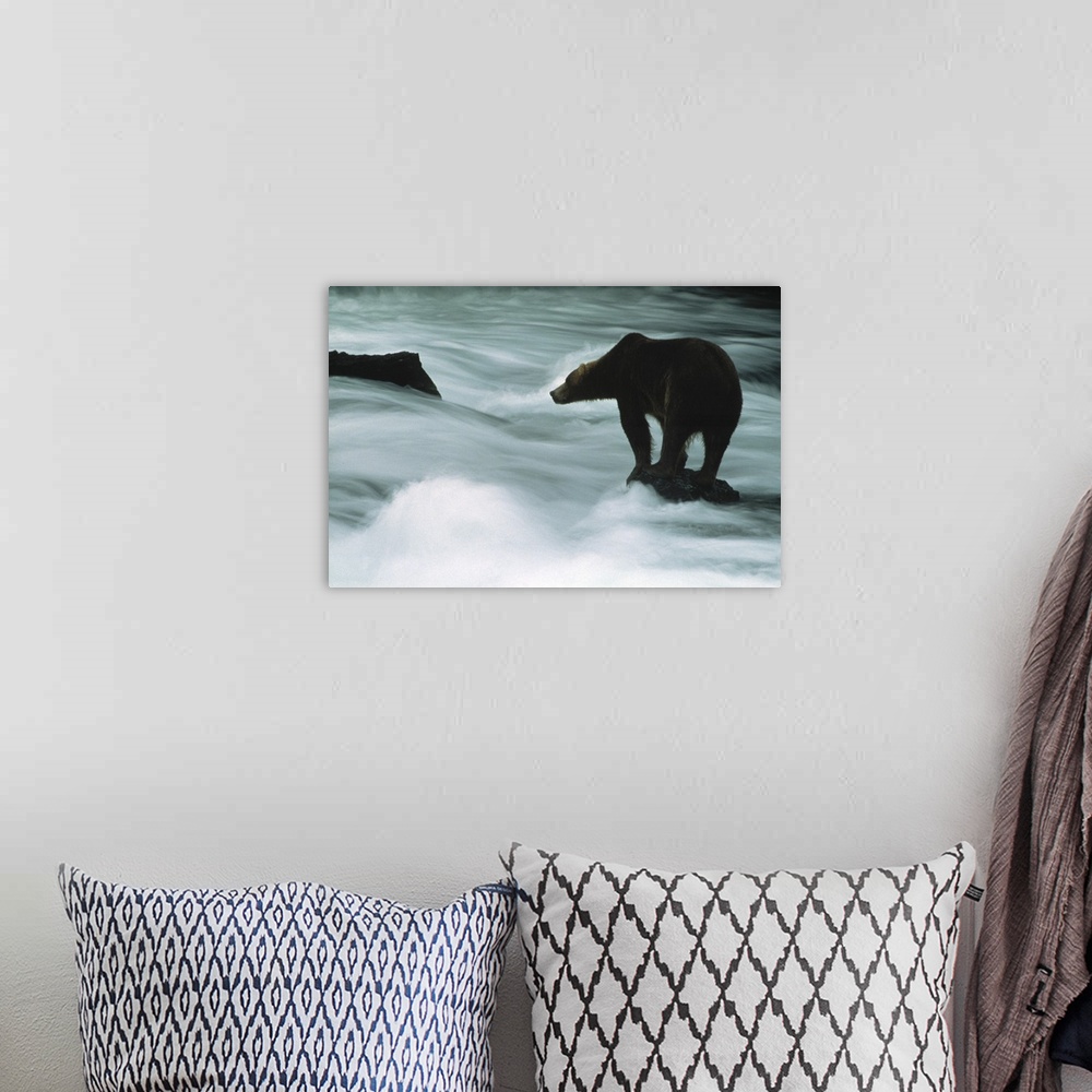 A bohemian room featuring Grizzly Bear Next to the Water in Alaska