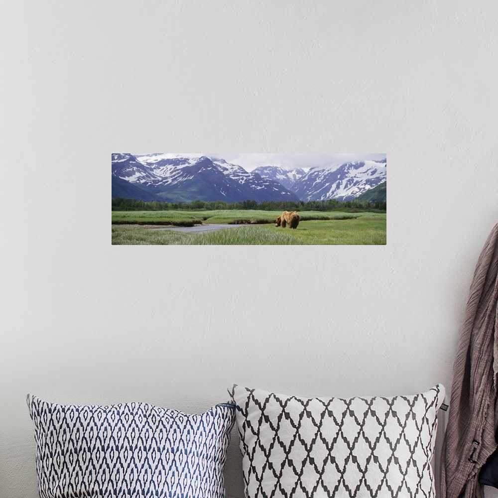 A bohemian room featuring Panoramic photograph of brown bear walking through meadow of grass toward a small lake with fores...