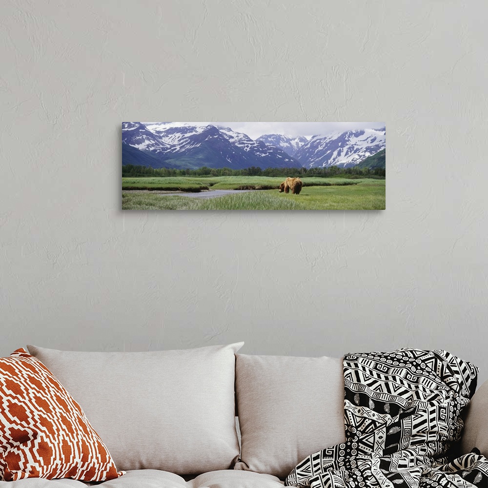 A bohemian room featuring Panoramic photograph of brown bear walking through meadow of grass toward a small lake with fores...