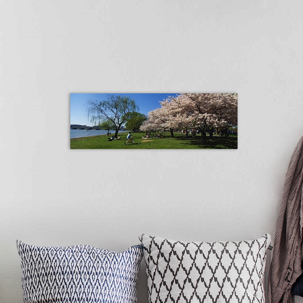 A bohemian room featuring Group of people in a garden, Cherry Blossom, Washington DC