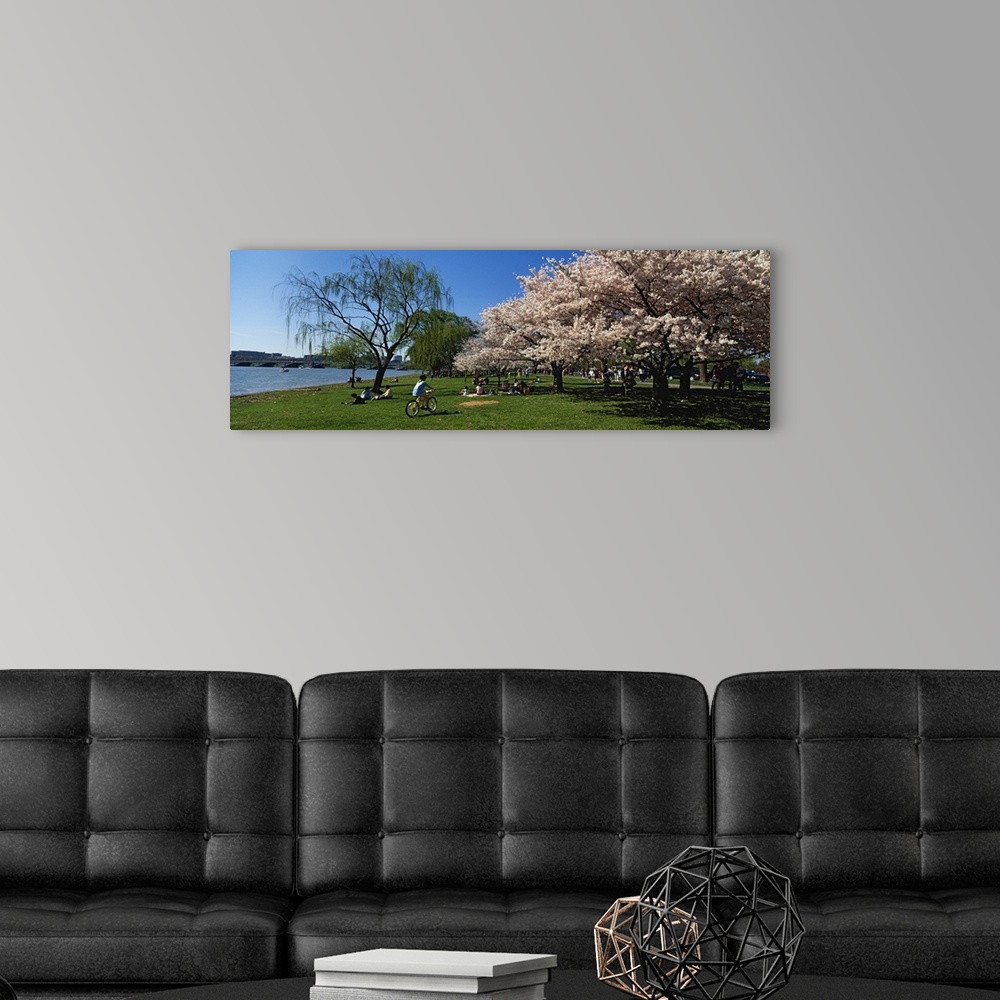 A modern room featuring Group of people in a garden, Cherry Blossom, Washington DC