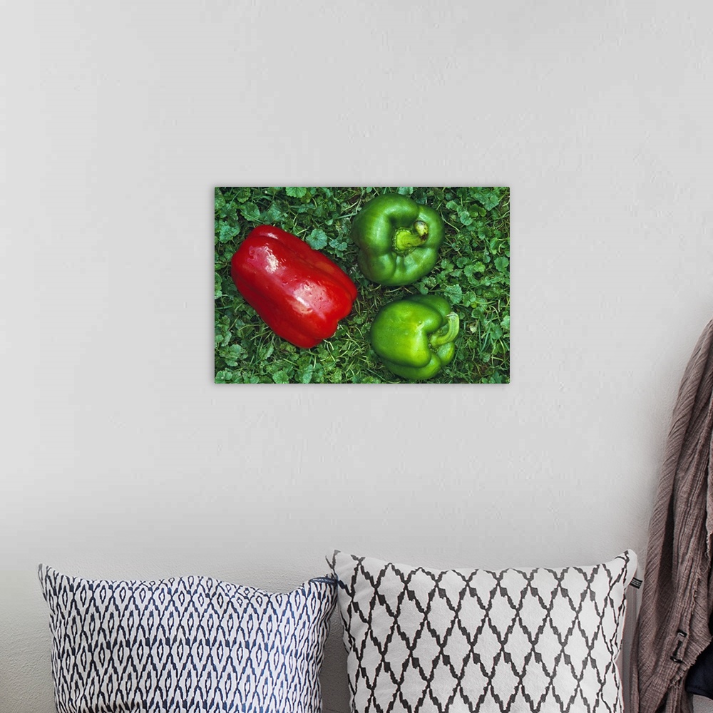 A bohemian room featuring Harvested red and green peppers.